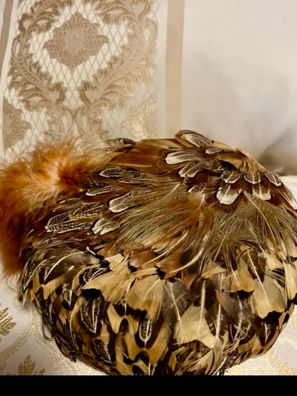 Genuine Peacock Feature Gorgeous Har
